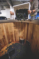 Photo Domaines-Viticoles Champagne Drappier  - n°19177