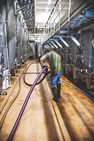 Photo Domaines-Viticoles Champagne Drappier  - n°19218