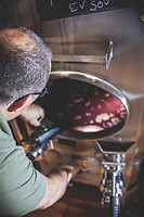 Photo Domaines-Viticoles Champagne Drappier  - n°19221