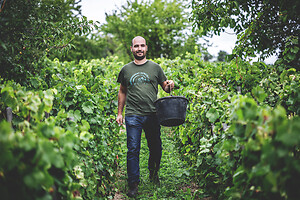 Photo Domaines-Viticoles Champagne Drappier  - n°19230