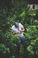 Photo Domaines-Viticoles Champagne Drappier  - n°19231