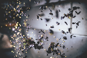 Photo Domaines-Viticoles Champagne Drappier  - n°19235