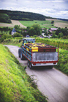 Photo Domaines-Viticoles Champagne Drappier  - n°19237