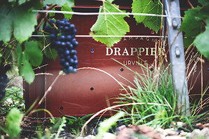 Photo Domaines-Viticoles Champagne Drappier  - n°19239