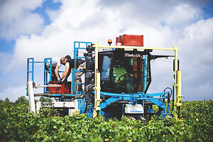 Photo Domaines-Viticoles Champagne Drappier  - n°19241