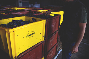 Photo Domaines-Viticoles Champagne Drappier  - n°19255