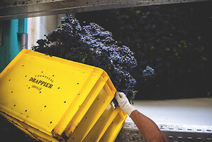 Photo Domaines-Viticoles Champagne Drappier  - n°19261