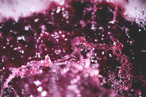 Photo Domaines-Viticoles Champagne Drappier  - n°19267