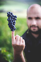 Photo Domaines-Viticoles Champagne Drappier  - n°19272