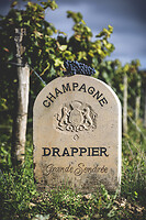 Photo Domaines-Viticoles Champagne Drappier  - n°19278