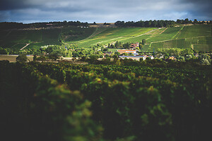 Photo Domaines-Viticoles Champagne Drappier  - n°19281