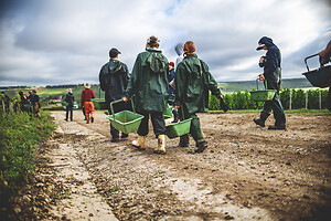 Photo Domaines-Viticoles Champagne Drappier  - n°19285