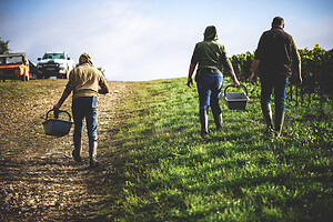 Photo Domaines-Viticoles Champagne Drappier  - n°19293