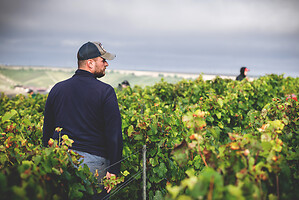 Photo Domaines-Viticoles Champagne Drappier  - n°19295