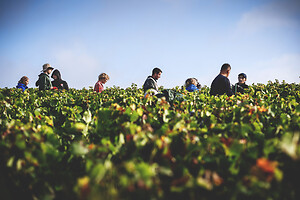 Photo Domaines-Viticoles Champagne Drappier  - n°19300