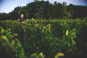 Photo Domaines-Viticoles Champagne Drappier  - n°19305