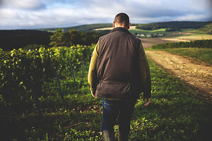 Photo Domaines-Viticoles Champagne Drappier  - n°19307