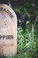 Photo Domaines-Viticoles Champagne Drappier  - n°19312