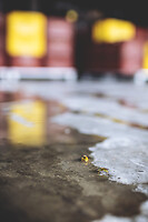 Photo Domaines-Viticoles Champagne Drappier  - n°19320