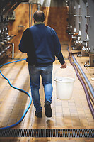 Photo Domaines-Viticoles Champagne Drappier  - n°19325