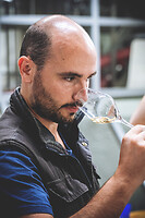 Photo Domaines-Viticoles Champagne Drappier  - n°19331