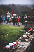 Photo Reportages Saint-Vincent Tournante - Maranges  - n°19768