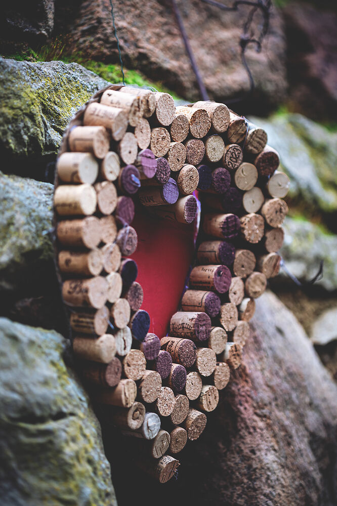 Photographie Reportages Saint-Vincent-Tournante-2026-Maranges  - Beaune, Bourgogne