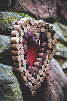 Photo Reportages Saint-Vincent Tournante - Maranges  - n°19772