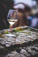 Photo Reportages Saint-Vincent Tournante - Maranges  - n°19780