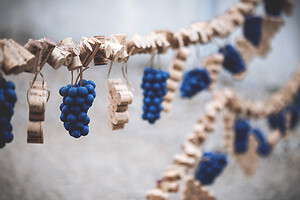 Photo Reportages Saint-Vincent Tournante - Maranges  - n°19781