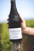 Photo Domaines-Viticoles Domaine Chollet  - n°19806