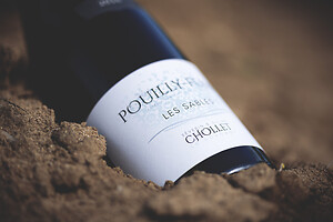 Photo Domaines-Viticoles Domaine Chollet  - n°19808