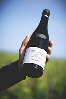 Photo Domaines-Viticoles Domaine Chollet  - n°19810