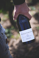 Photo Domaines-Viticoles Domaine Chollet  - n°19811