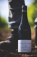 Photo Domaines-Viticoles Domaine Chollet  - n°19812