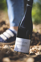 Photo Domaines-Viticoles Domaine Chollet  - n°19813