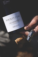 Photo Domaines-Viticoles Domaine Chollet  - n°19814