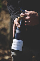 Photo Domaines-Viticoles Domaine Chollet  - n°19816