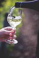 Photo Domaines-Viticoles Domaine Chollet  - n°19817