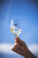 Photo Domaines-Viticoles Domaine Chollet  - n°19818