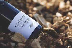 Photo Domaines-Viticoles Domaine Chollet  - n°19820