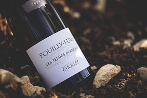 Photo Domaines-Viticoles Domaine Chollet  - n°19822