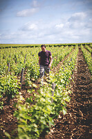 Photo Domaines-Viticoles Domaine Chollet  - n°19823