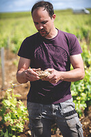 Photo Domaines-Viticoles Domaine Chollet  - n°19824