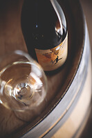 Photo Domaines-Viticoles Domaine Chollet  - n°19828