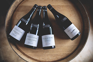 Photo Domaines-Viticoles Domaine Chollet  - n°19829