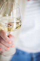 Photo Domaines-Viticoles Domaine Chollet  - n°19834