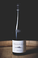 Photo Domaines-Viticoles Domaine Chollet  - n°19835