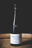 Photo Domaines-Viticoles Domaine Chollet  - n°19838