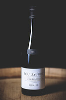 Photo Domaines-Viticoles Domaine Chollet  - n°19840